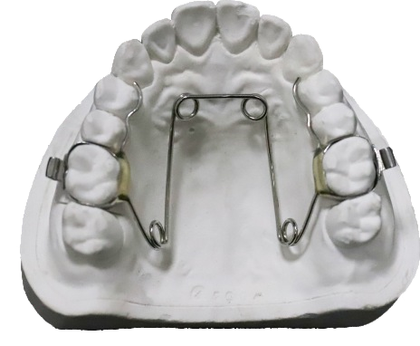 The Silent Architect of Dental Arches: The Long-Term Value of the Four-Eyelet Expander(Orthodontics)