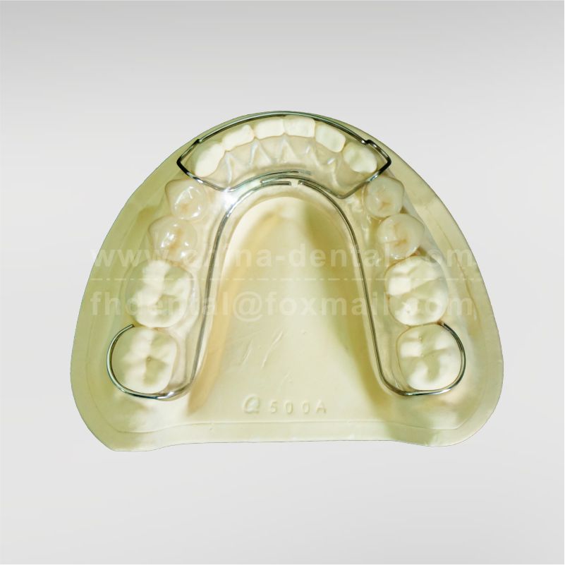Partial Denture Space Maintainer