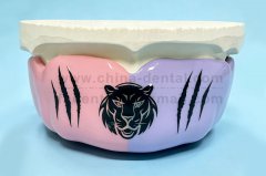 Professional Protection, Comfortable Fit: Sports Mouthguards Keep You Safe While You Play