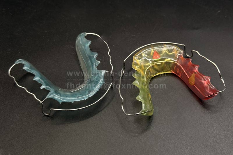Begg Retainer: A Solid ＂Insurance Policy＂ for Extraction and Rotated Teeth